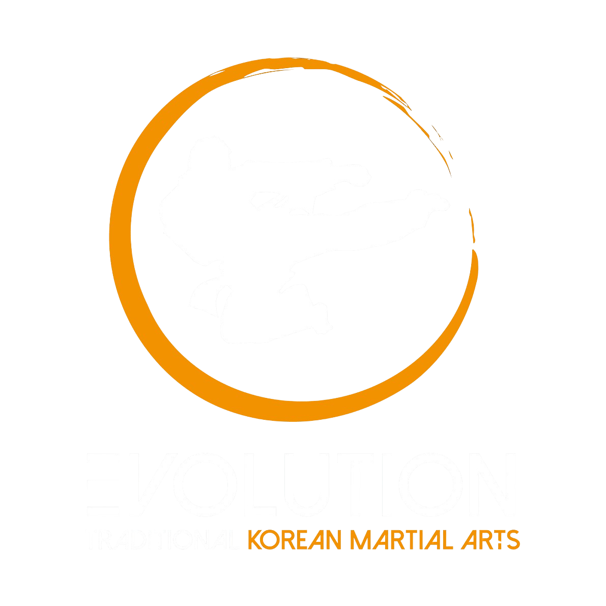 Evolution Martial Arts